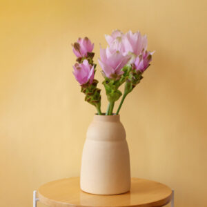 FLORERO CHUBBY - imagen 2