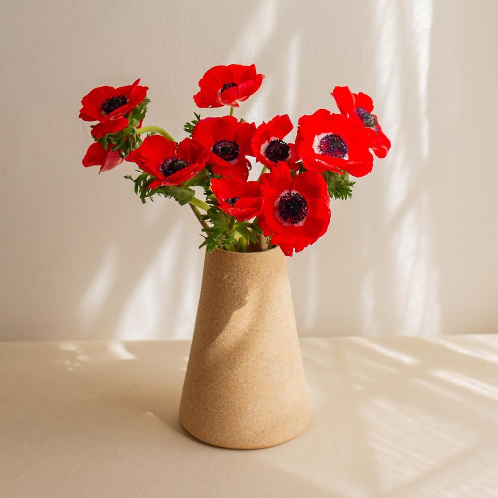 FLORERO CONO - Imagen 4