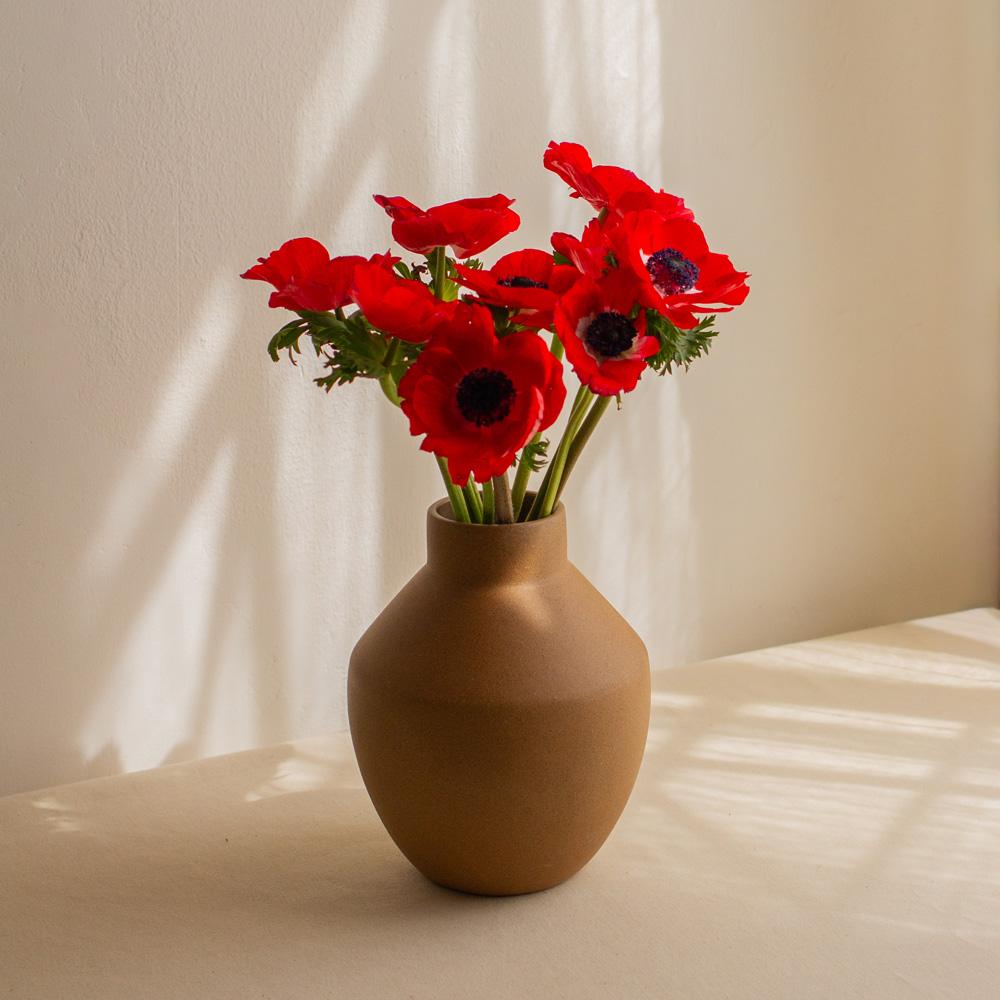 FLORERO EGEO
