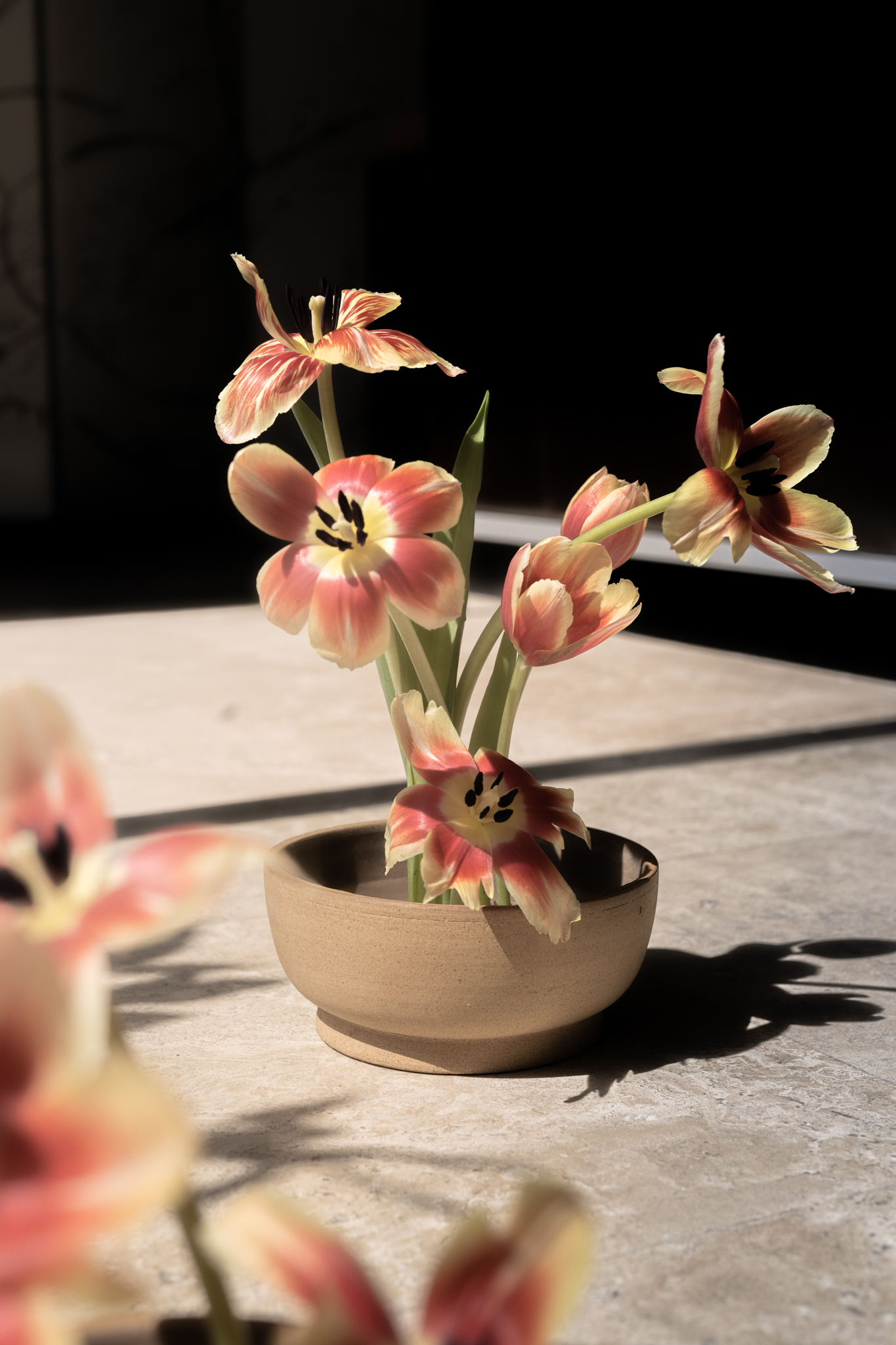 BASE II Grande - Imagen 6