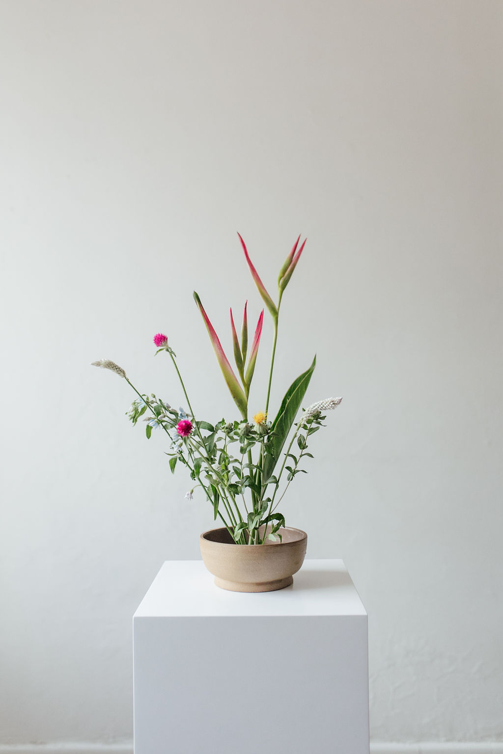 BASE II Grande - Imagen 8