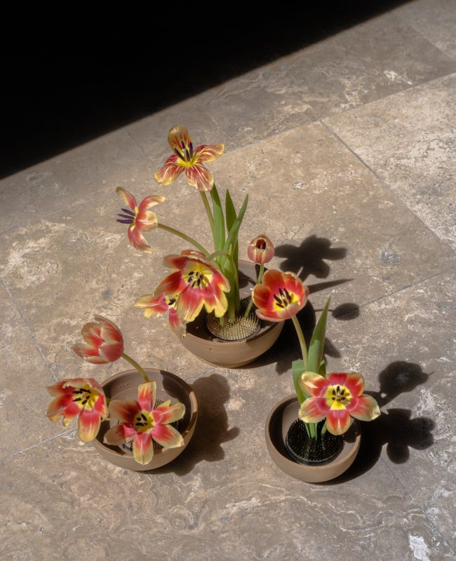 Al Centro Floreros_D1_A7R4_T1_DSC05619 - (2048px,96ppi)