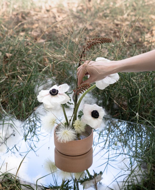 Al Centro Floreros_D1_A7R4_T1_DSC05964 - (2048px,96ppi)